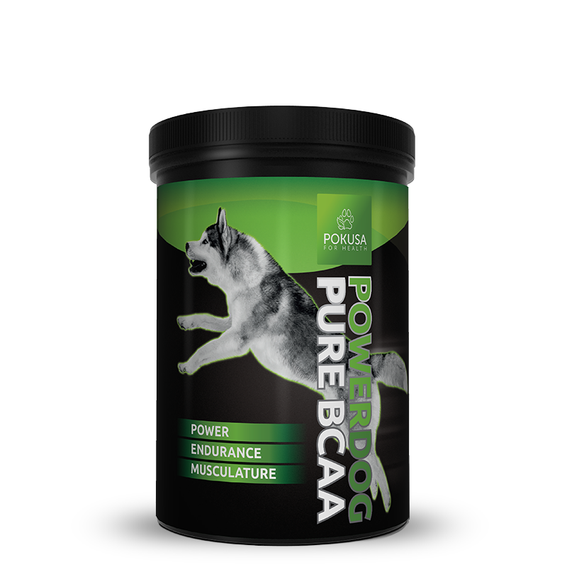 Powerdog BCAA